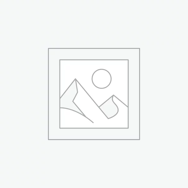 افزونه دسترسی مستقیم API